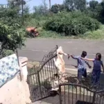 animal training centre employees kill dog hang it on front gate in india video.jpg
