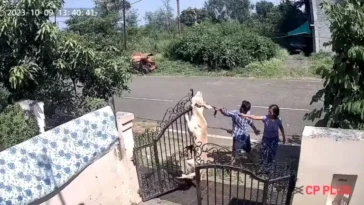animal training centre employees kill dog hang it on front gate in india video.jpg