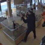 thieves fake seizure to steal puppies from colorado pet store 728x409 1