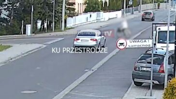 1747076904K6uTMvsSW2APdg thumb1