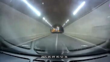 speed 1 thumb1
