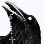 Profilový obrázek ostrapaprika