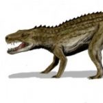 Profilový obrázek Postosuchus